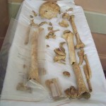 The exhumed bones of Joseph Bridger