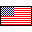 USA Flag